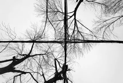 Crystal Casino Mobilna aplikacija